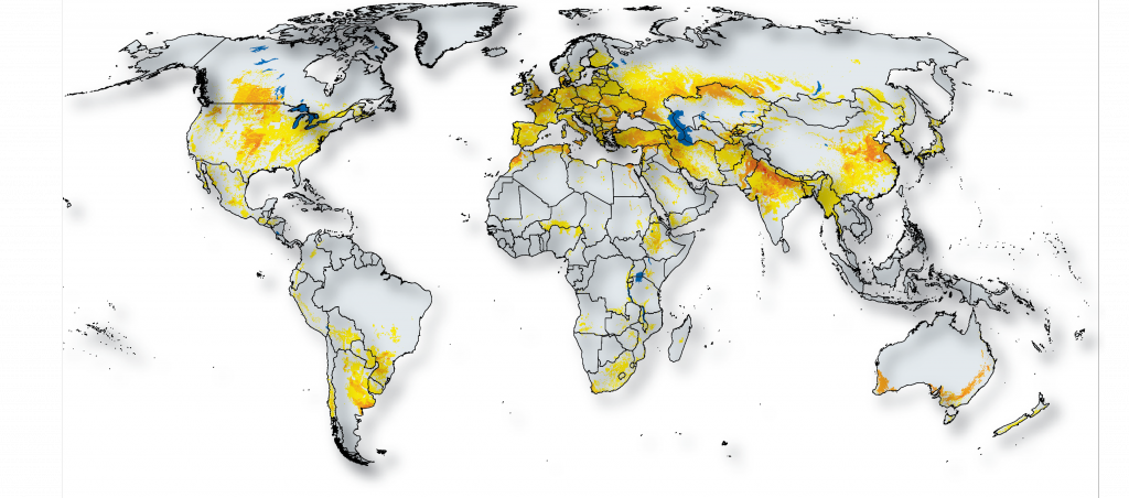 global wheat area classified no legend map