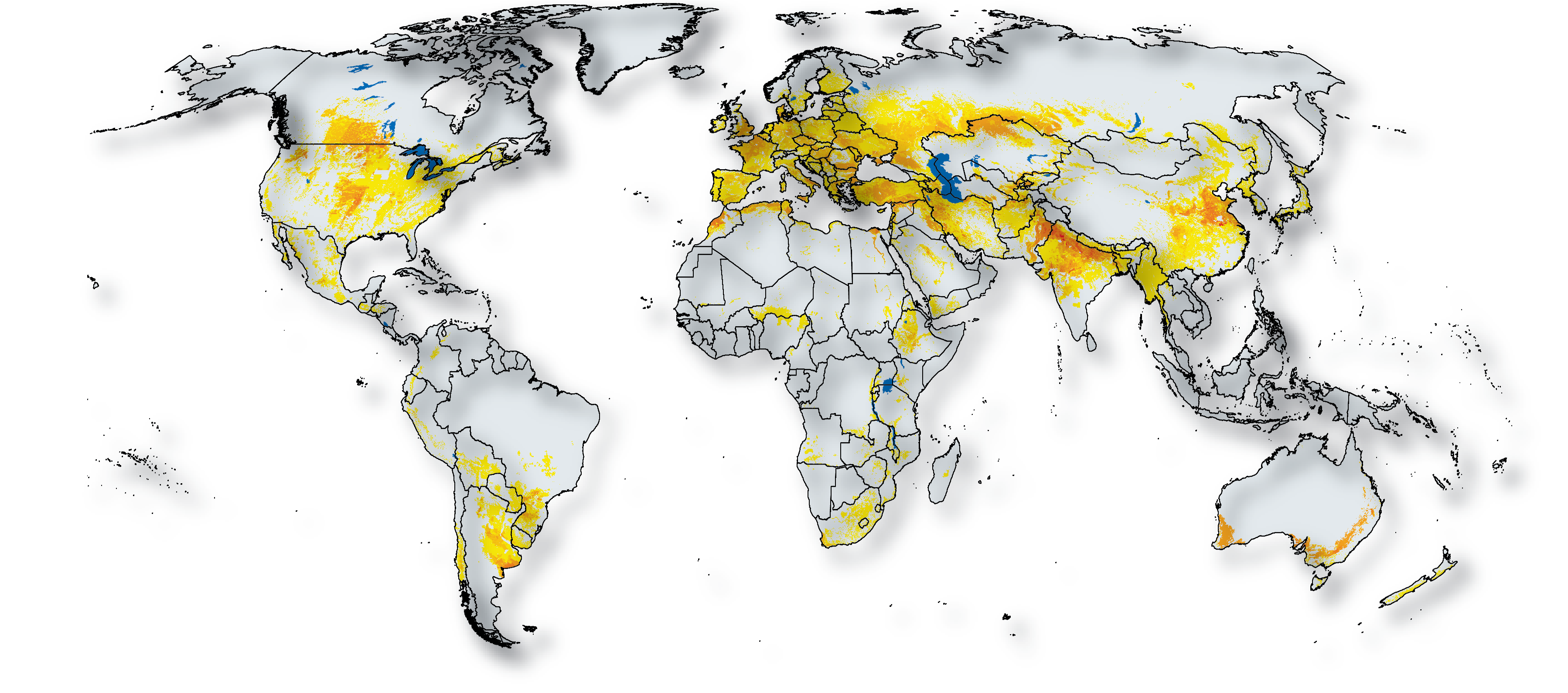 WHEAT In The World ARCHIVE Wheat