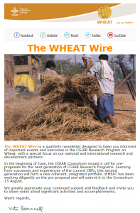 wheatwire2.2
