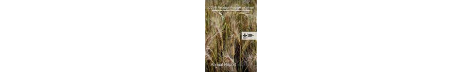 WHEAT Technical Annual Report 2017