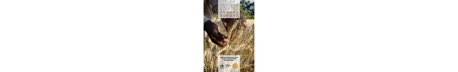 WHEAT Technical Annual Report 2018